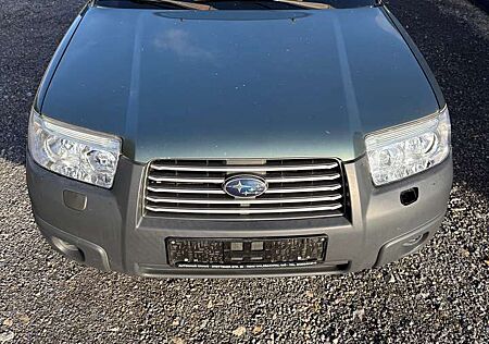 Subaru Forester gebraucht kaufen Subaru Forester 2.0 X Trend