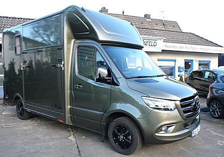 Mercedes-Benz Sprinter Pferdetransporter 3,5t 3 Sitze - Leder- Hengst...