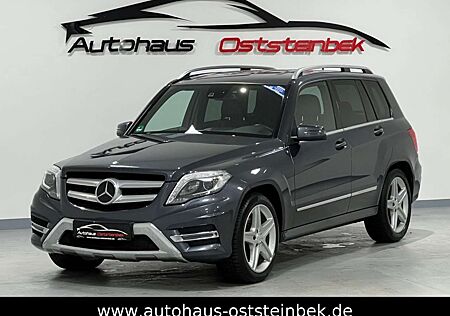 Mercedes-Benz GLK 220 CDI BLUEEFFICIENCY 4MATIC/AMG-LINE/BiXEN