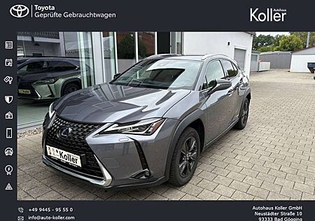 Lexus UX 250h E-FOUR 4x4 Navi Kamera SHZ HeadUp