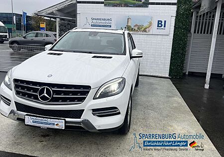 Mercedes-Benz ML 350 CDI BlueTec| Ambiente-Beleuchtung