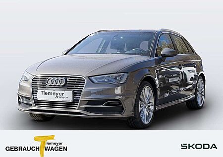 Audi A3 1.4 TFSI e-tron NAVI+ LED BuO PANO