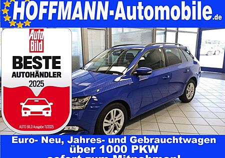 Skoda Fabia Ambition Navi Amundsen,Sitzhzg,Alu