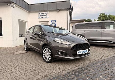 Ford Fiesta Celebration