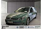 VW Golf Volkswagen 1.0 TSI OPF Comfortline IQ.Drive Klima Navi
