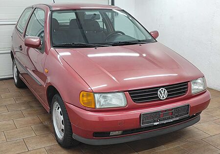 VW Polo Volkswagen 60 AUTOMATIK *NEU ZAHNRIEMEN* ALLWETTER ABS