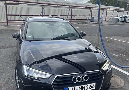 Audi A4 basis