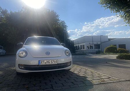 VW Beetle Volkswagen Sport