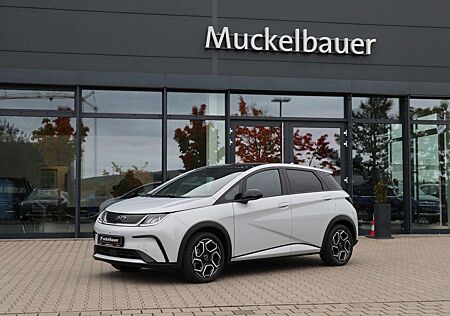 BYD DOLPHIN Design 60kWh Aktionsfahrzeug *OPENING*