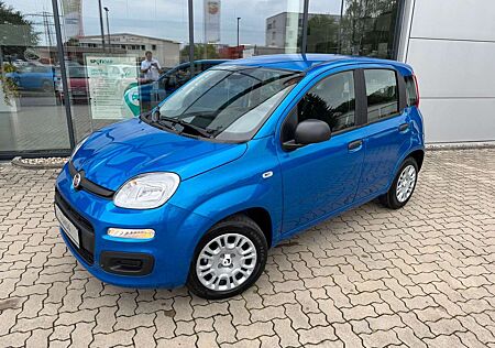 Fiat Panda 1.0 Hybrid+Komfortpaket+Parksensoren