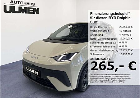 BYD DOLPHIN Comfort Leder Navi Sitzheizung DAB+ Soundsystem