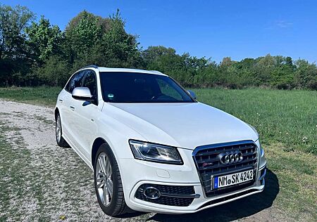 Audi SQ5 3.0 TDI quattro tiptronic B&O/PANO