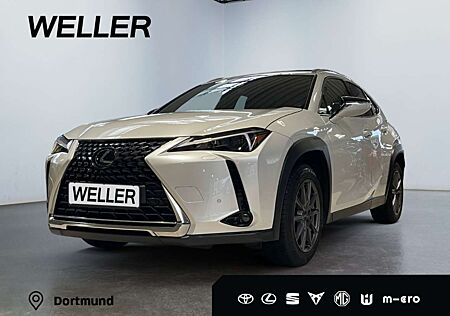 Lexus UX 250h Executive Line *Pano*HUD*Navi*LED*CarPlay*