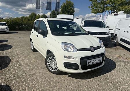 Fiat Panda MY25 1.0 70PS Eurostar Klima PDC