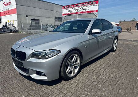 BMW 520i 520 Baureihe 5 Lim. ,MSpotr,Navi,Euro 6