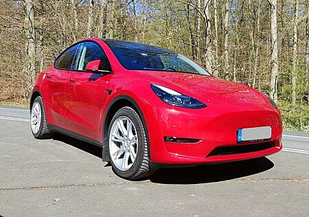 Tesla Model Y Long Range Dual Motor AWD MwSt