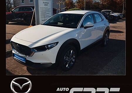 Mazda CX-30 Centre-Line Navi HuD LED PDC KAMERA ACC