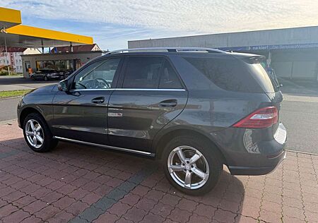 Mercedes-Benz ML 350 CDI BlueTec 4matic AHK 3,5T AUT, KLI, LE