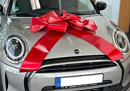 Mini Cooper Essential Trim