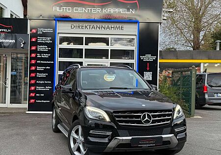 Mercedes-Benz ML 250 CDI 4Matic BlueTec (AHK-LED-NAVI-Tempomat