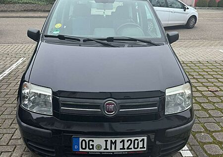 Fiat Panda +1.2+Dynamic