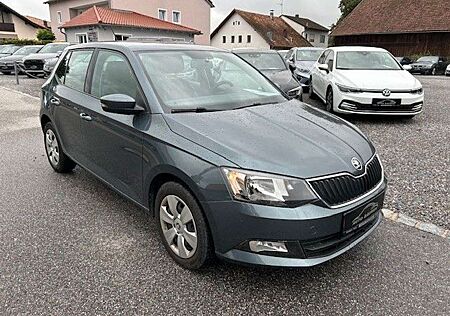 Skoda Fabia Ambition *SHZ*AHK*