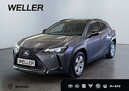 Lexus UX 250h Style+ Edition *Bi-LED*ACC*CAM*CarPlay*