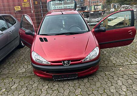 Peugeot 206 60 Grand Filou