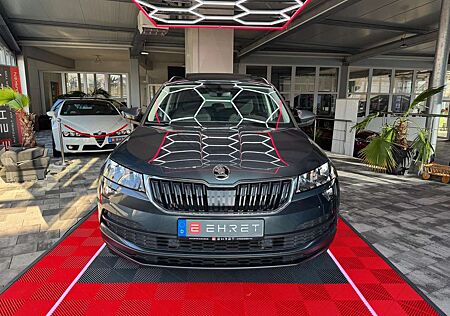 Skoda Karoq , Navi, Pano, Sitzh. Klimaautom. PDC