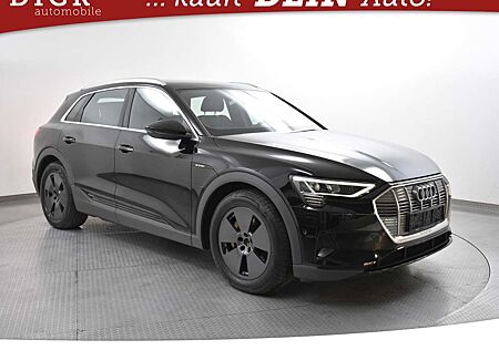 Audi e-tron 55 Quatt S Line NAVI+LED+SHZ+KAMER+AHK+19