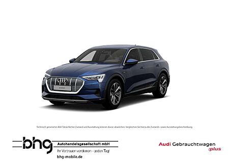 Audi e-tron 50 quattro S-Line Matrix/ACC/Navi/Connect