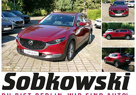 Mazda CX-30 SKYACTIV-G 2.0 M Hybrid Standheizung SKYACTI