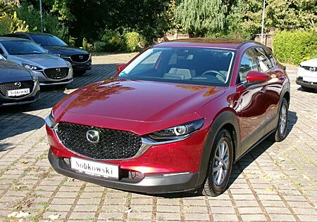 Mazda CX-30 SKYACTIV-G 2.0 M Hybrid Standheizung SKYACTI