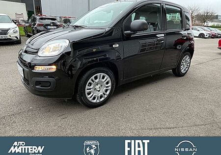 Fiat Panda Pandina Icon,PDC,DAB