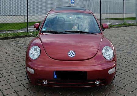 VW Beetle Volkswagen The new