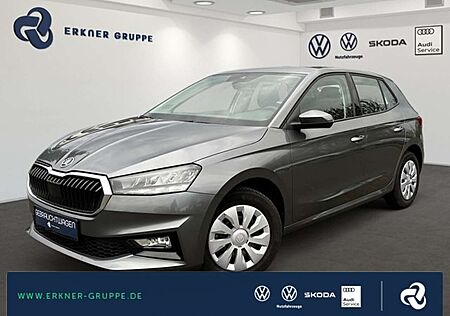 Skoda Fabia gebraucht kaufen Skoda Fabia 1.0TSI DSG Selection LED+TEMPOMAT+DIGIDISPL+++