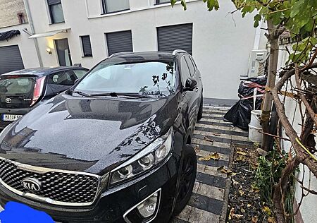 Kia Sorento 2.2 CRDi AWD Aut. Platinum Edition