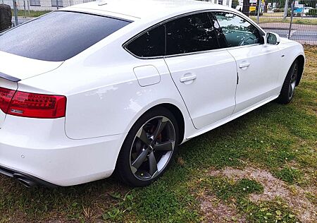 Audi A5 3.0 TDI Sportback (clean die.) quat. DPF S tro.