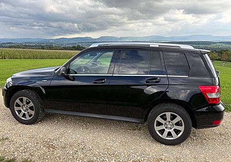 Mercedes-Benz GLK 220 gebraucht kaufen Mercedes-Benz GLK 220 CDI 4Matic (BlueEFFICIENCY) 7G-TRONIC