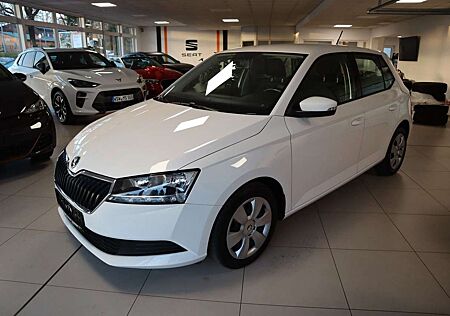 Skoda Fabia Ambition/NAVI/BLUETOOTH/DAB/FREISPRECH