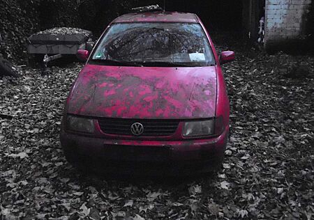 VW Polo Volkswagen