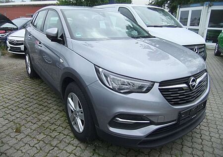 Opel Grandland X Business Edition 1. Hand Kamera AHK