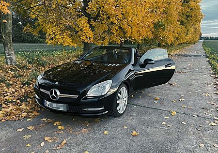 Mercedes-Benz SLK 200 (BlueEFFICIENCY)