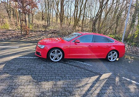 Audi A5 3.0 TDI Sportback (clean die.) quat. DPF S tro.