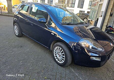 Fiat Punto More