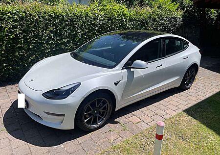 Tesla Model 3 Langstreckenbatt. Allradantrieb Dual Motor