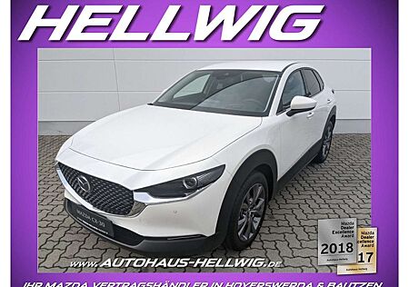 Mazda CX-30 2.0l Skyactiv-X Selection AHK Design-Paket Matrix-