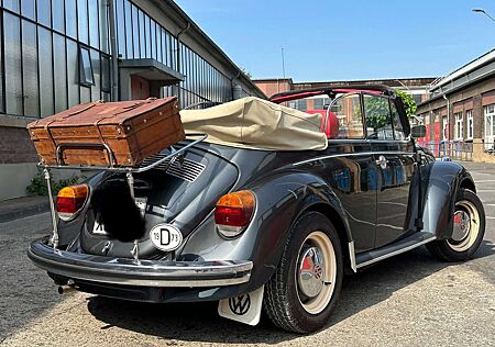 VW Käfer Volkswagen