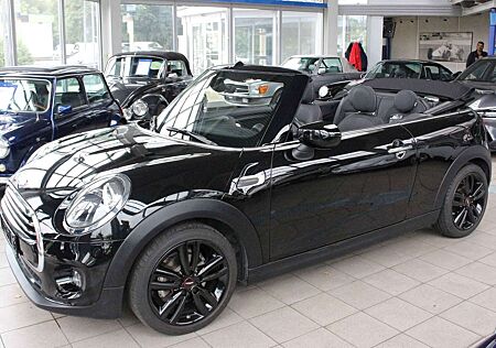 Mini Cooper Cabrio Cooper Salt