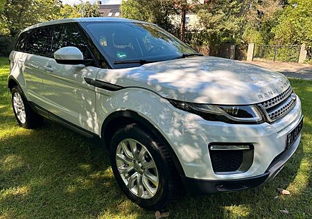 Land Rover Range Rover Evoque Pure AHK/NAVI/PANORAMA
